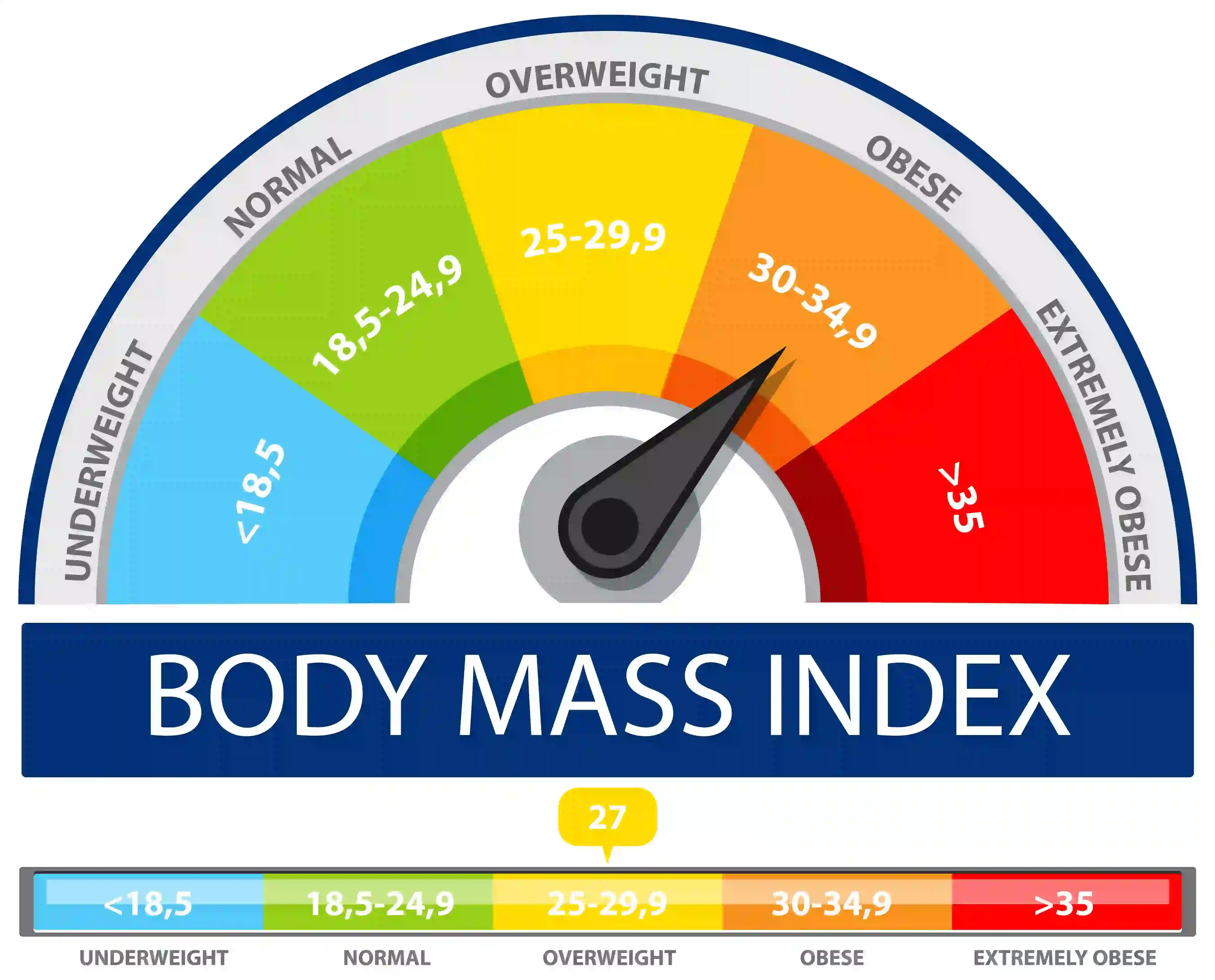 BMI categories gauge