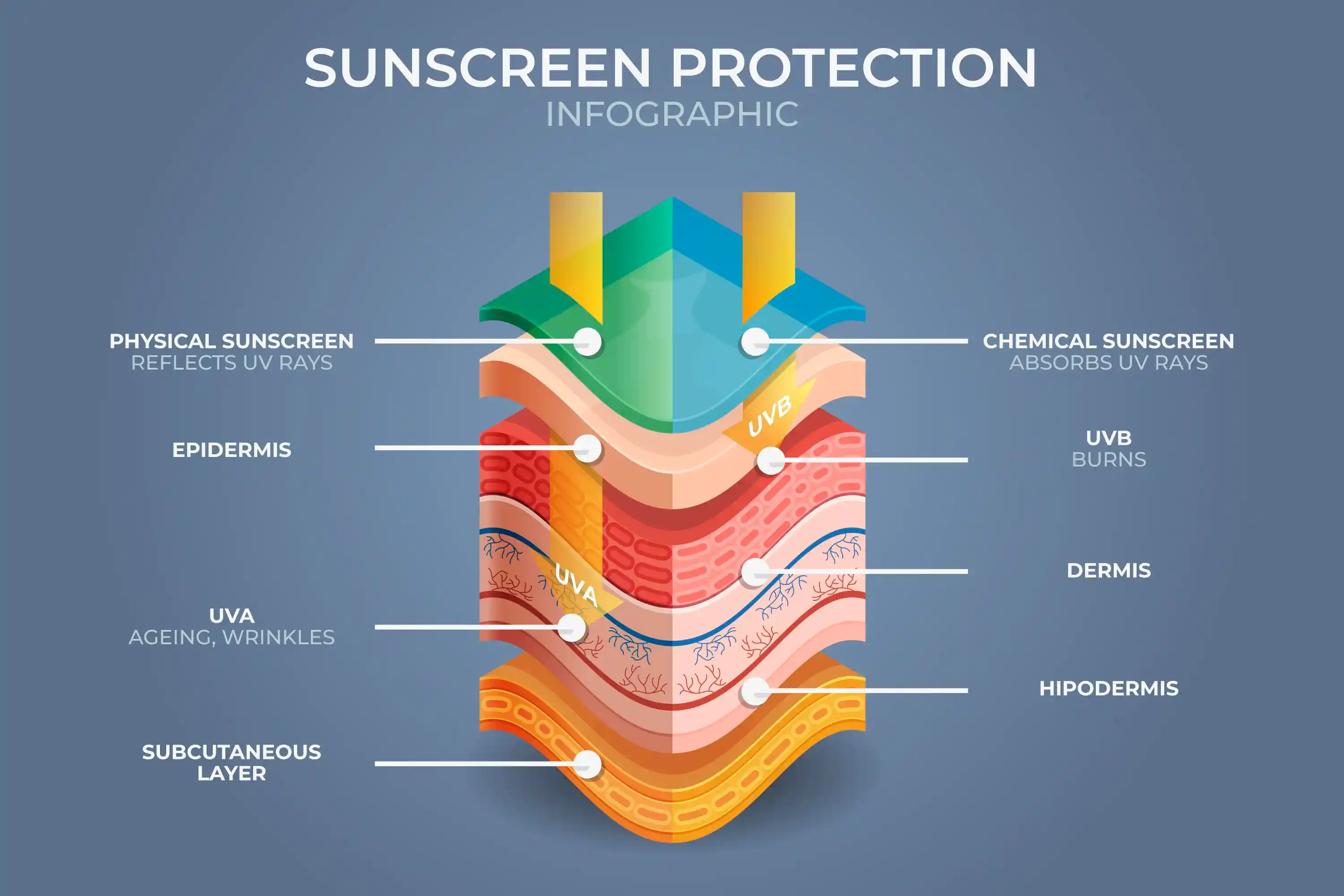 Infographic showing the layers of human skin (Epidermis, Dermis, Subcutaneous) and how Physical vs Chemical sunscreens interact with UVA and UVB rays