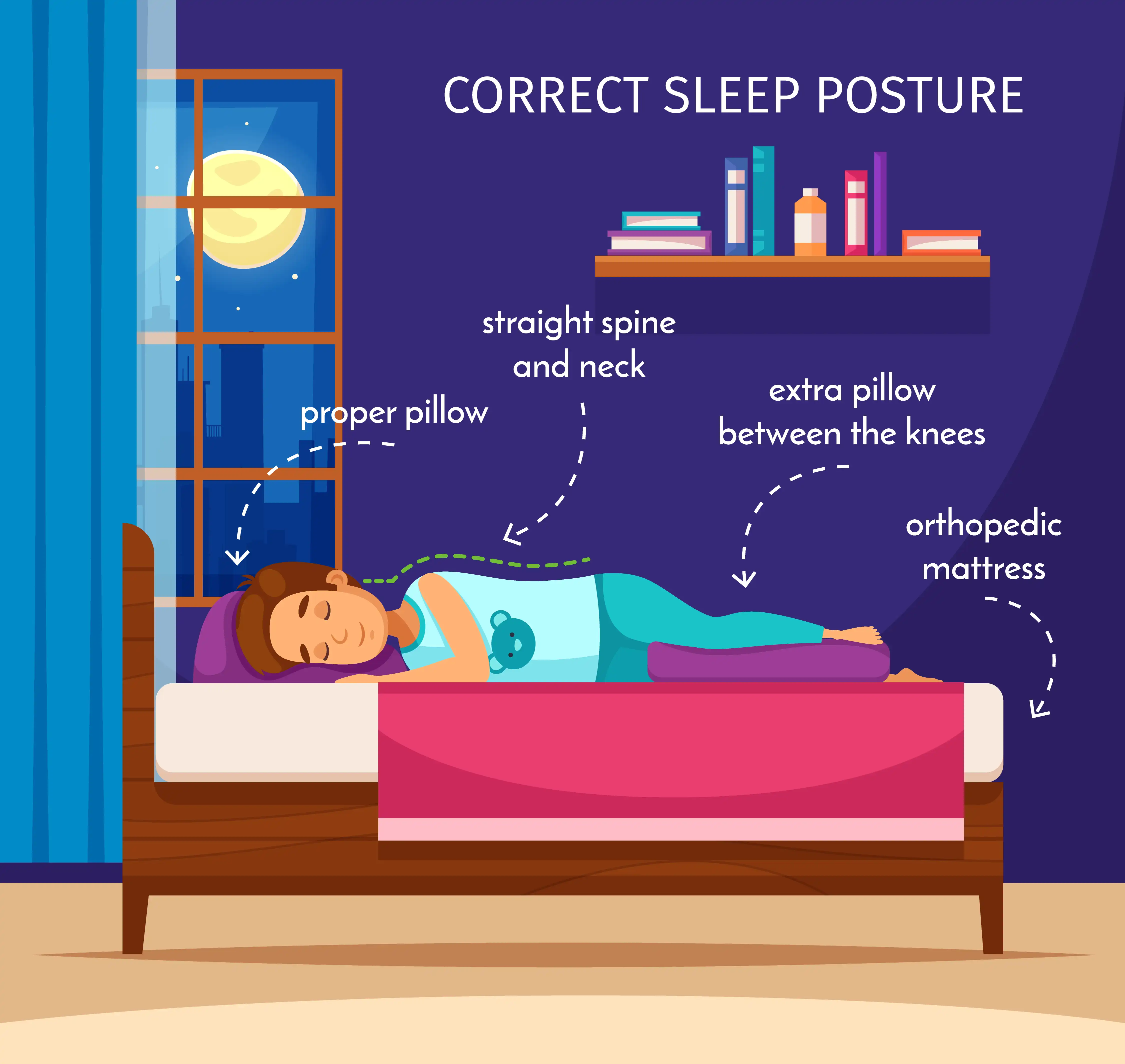 Sleep cycle illustration